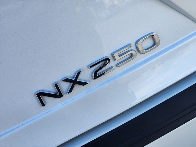 2025 Lexus NX 250 Premium White at Gullo Toyota