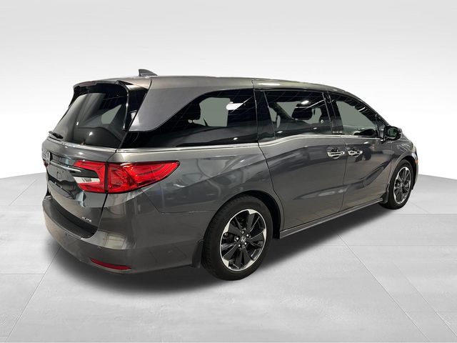 2024 Honda Odyssey Elite Gray at Stokes Honda North