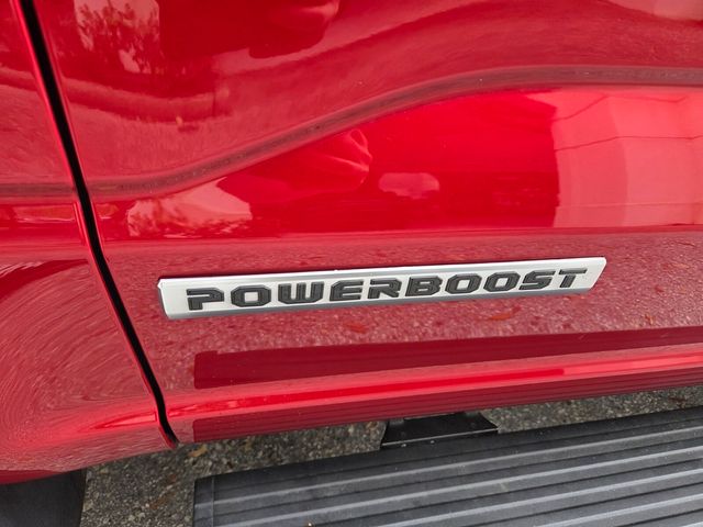 Certified Used 2024 Red Ford Platinum image 4