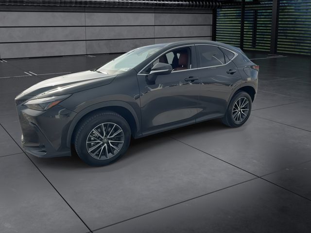 2025 Lexus NX - $47,998