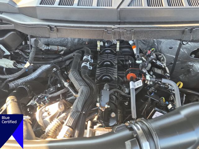 Used 2024 White Ford XLT image 37