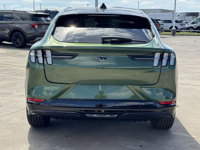 New 2026 Green Ford Premium image 8