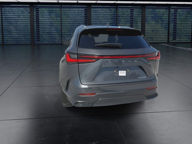 2025 Lexus NX - $39,998