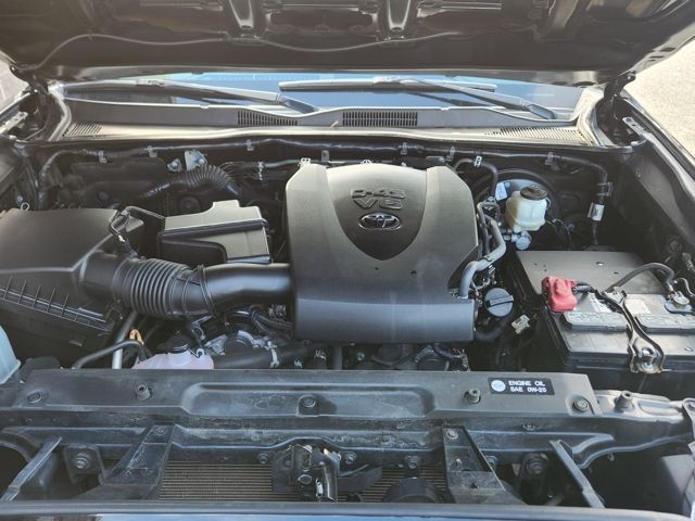 Used 2019 Toyota Tacoma Truck