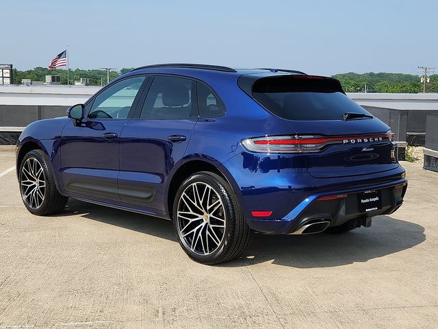 Macan
