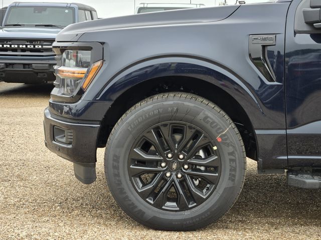 2025 Blue Ford F-150 XLT RWD Truck