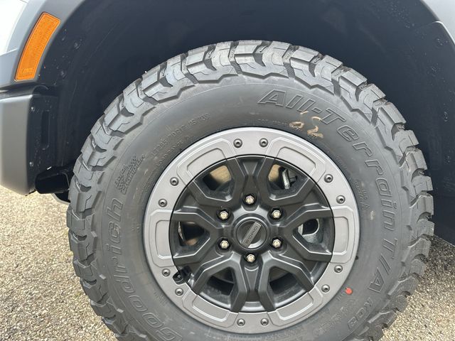 New 2026 White Ford Raptor image 20