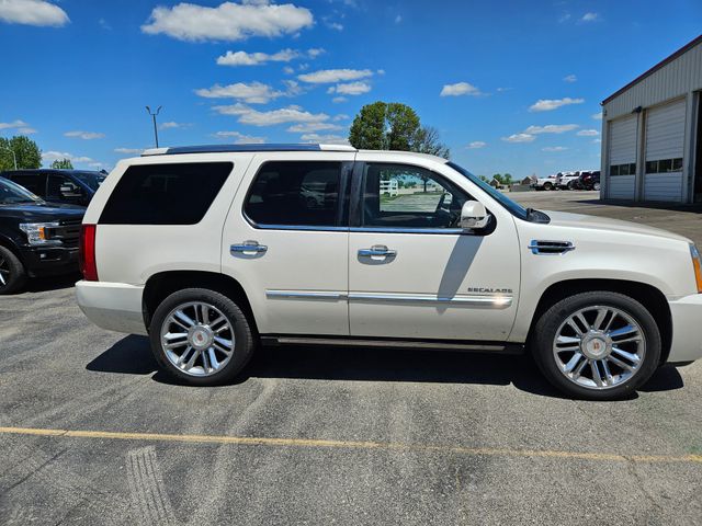 2013 Cadillac Escalade Platinum Edition photo