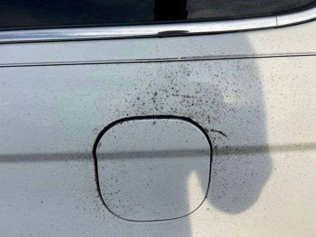 Used 2010 White Honda EX image 4