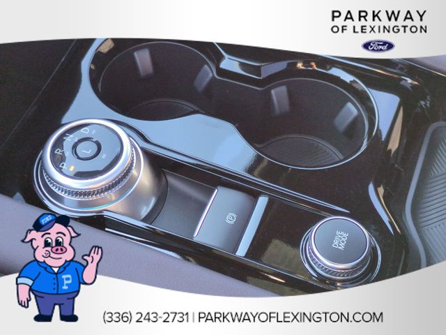 New 2026 Black Ford Platinum image 23
