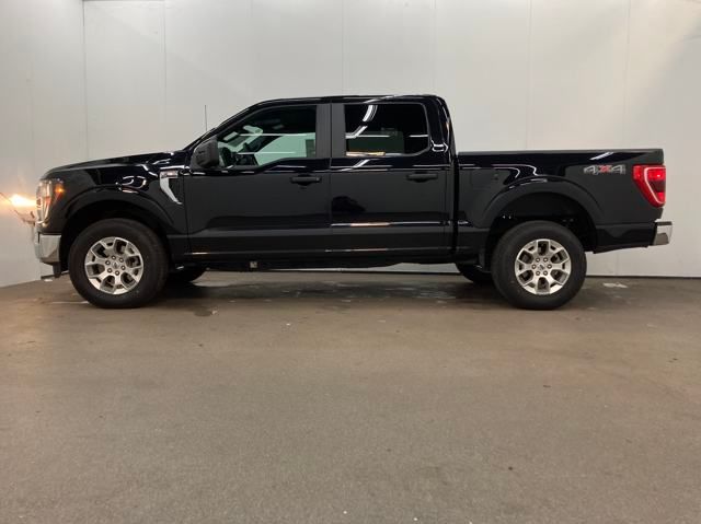 2023 Ford F-150 XLT photo