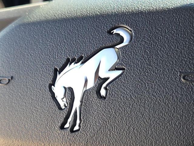 New 2025 White Ford Base image 24