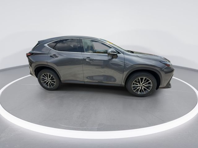 Used 2024 Lexus NX SUV
