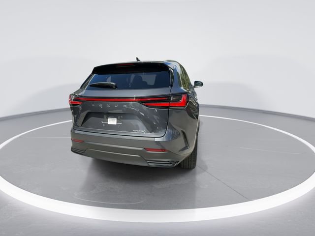 2024 Lexus NX - $38,898