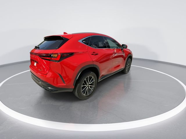 Used 2025 Lexus NX SUV
