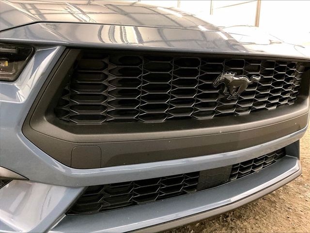 2025 Ford Mustang EcoBoost Blue at Bob Ruth Ford