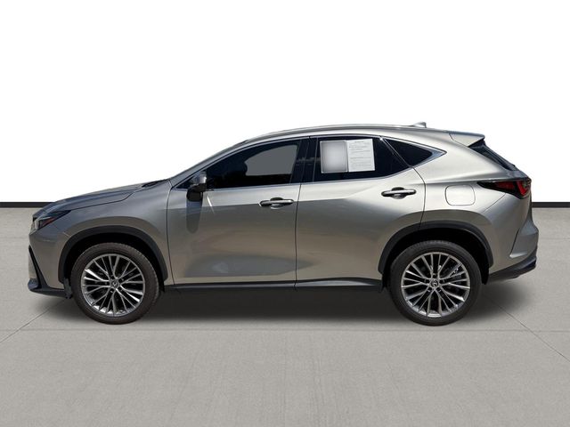 2022 Lexus NX 350 Premium Silver at Westside Lexus