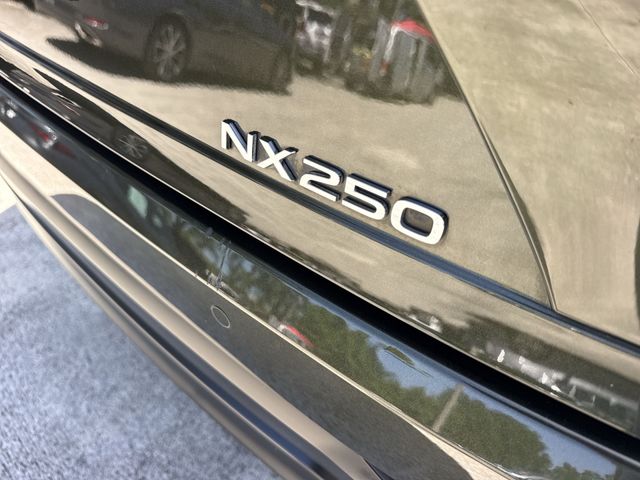 2025 Lexus NX - $40,998