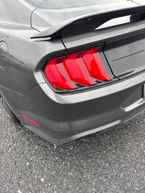 2019 Ford Mustang GT Gray at Grove City Ford
