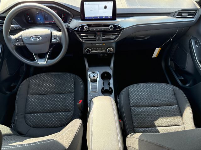 New 2026 White Ford Active image 11