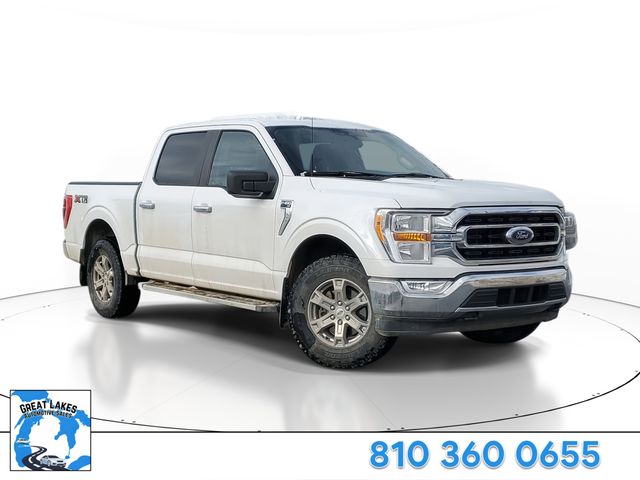 2023 Ford F-150 XLT 4x4 SuperCrew 5-1/2 Box's photo