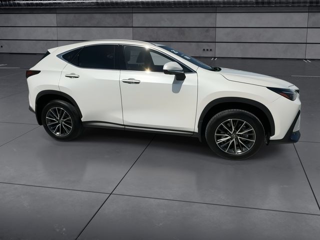 Used 2025 Lexus NX SUV