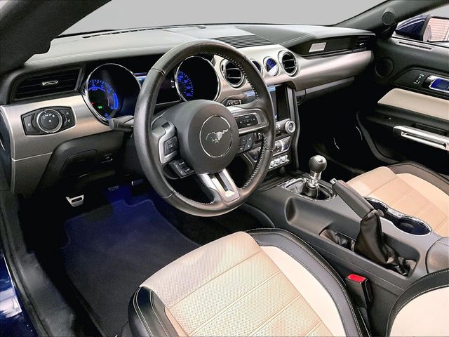 2015 Ford Mustang GT 50 Years Limited Edition Blue at Grove City Ford