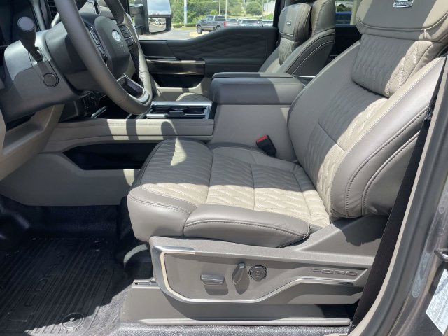 New 2026 Gray Ford Platinum image 11