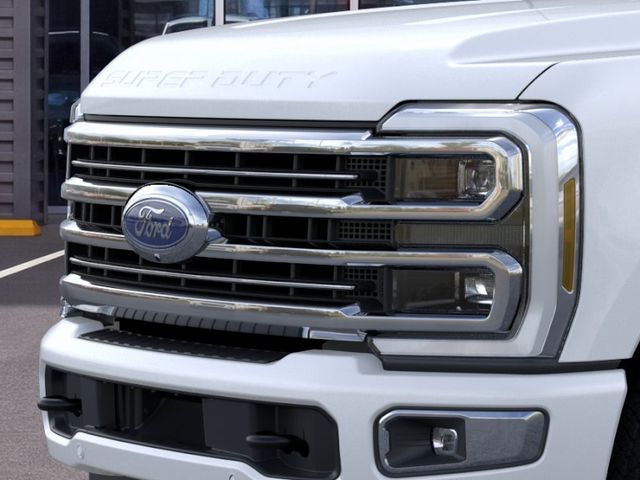 New 2026 White Ford Platinum image 17