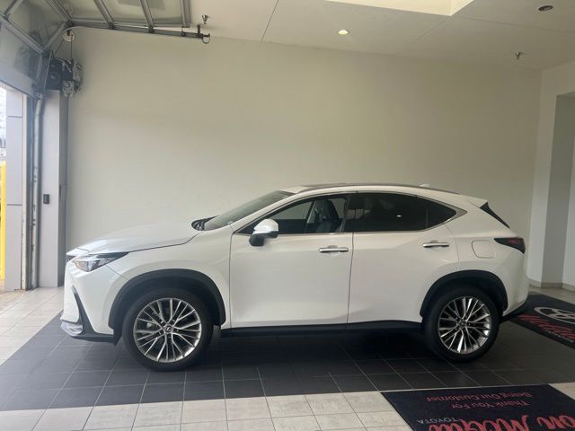 2025 Lexus NX 350 Premium White at Westside Lexus