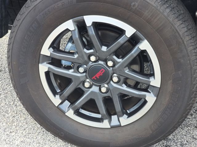2025 Toyota Tacoma TRD Sport:C02704B