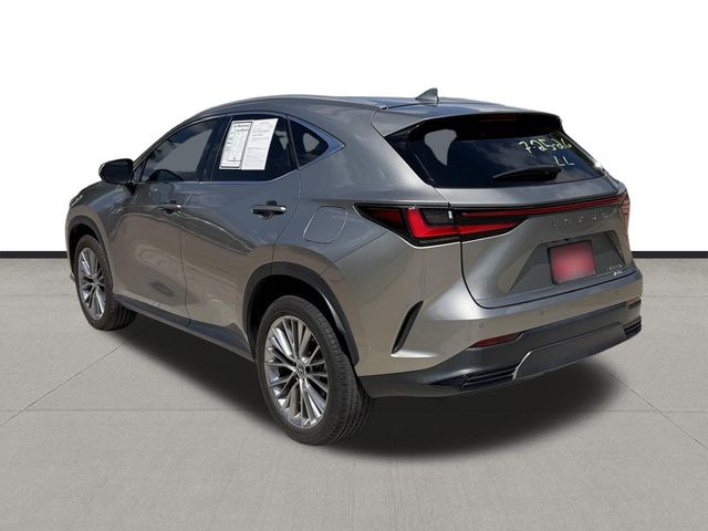 2022 Lexus NX 350 Premium Silver at Westside Lexus