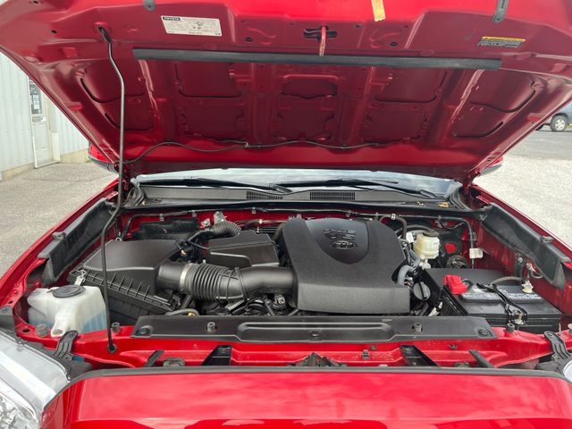 Used 2023 Toyota Tacoma Truck