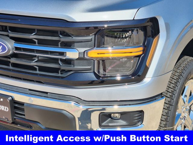 2025 Ford F-150 XLT photo