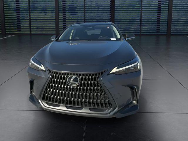 2024 Lexus NX - $40,588