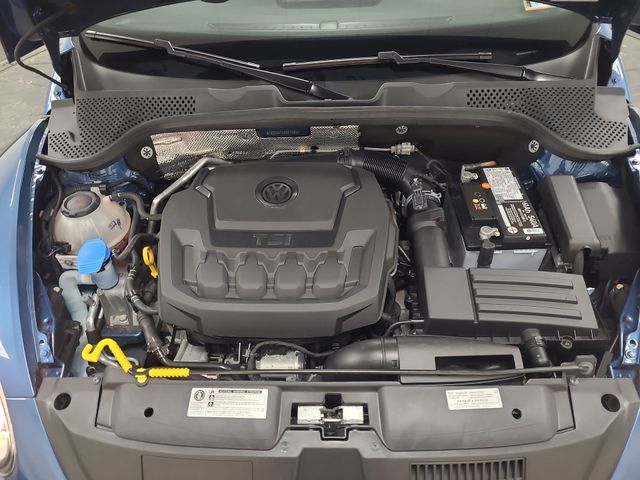 2019 – Volkswagen – Beetle Convertible