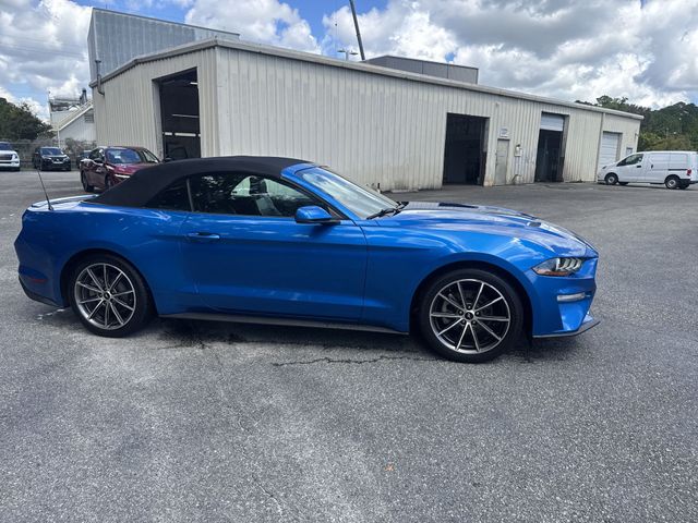 Used 2019 Blue Ford EcoBoost Premium image 4