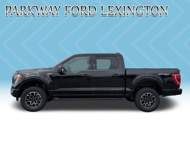 Used 2023 Agate Black Metallic Ford XLT image 2