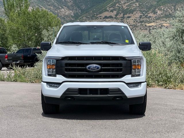 Used 2023 Ford F-150 Truck
