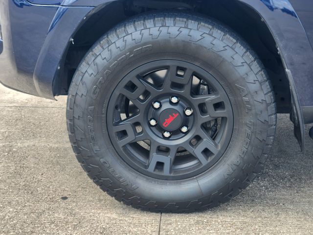 2024 Toyota 4Runner SR5 Premium Blue at Toyota of Victoria