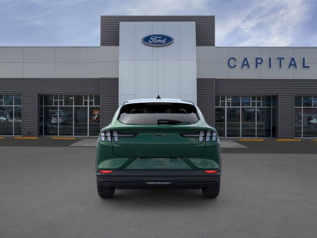 New 2026 Green Ford Premium image 5