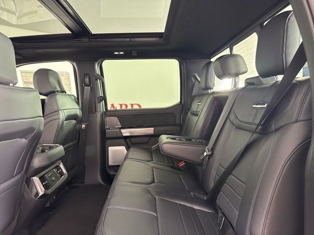 2025 Avalanche Ford Super Duty F-250 SRW Platinum 4X4 Truck
