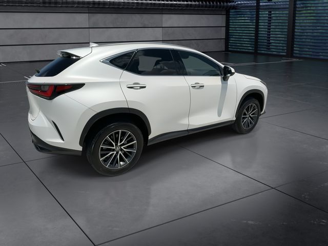 Used 2025 Lexus NX SUV