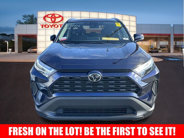 2024 Toyota RAV4 XLE 2