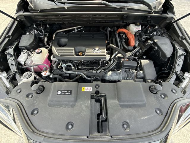 Used 2024 Lexus NX SUV