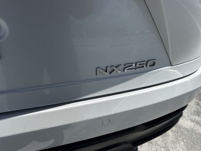 2024 Lexus NX - $40,998