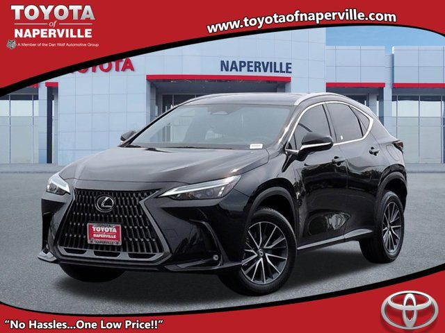 2024 Lexus NX 350 350 Premium AWD's photo