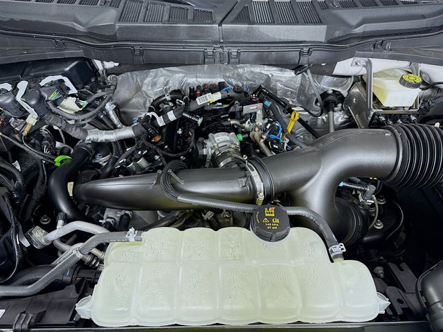 2024 Ford F-150 STX photo