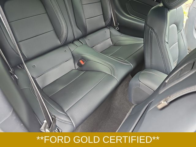 Used 2024 Gray Ford GT Premium image 11