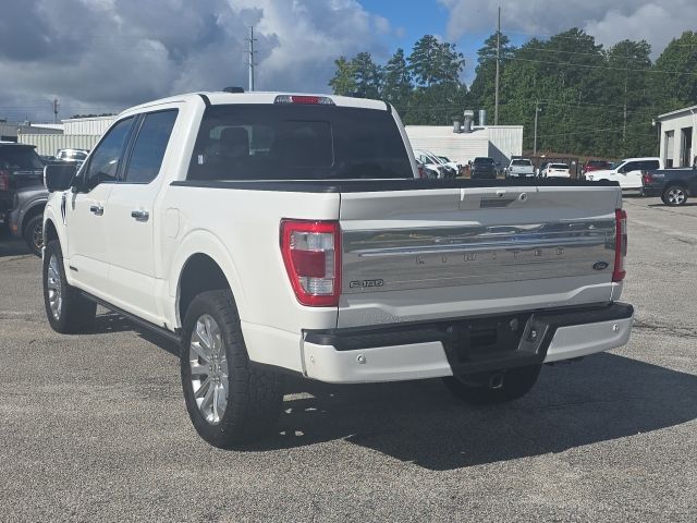 Photo of 2023 Ford F-150 Limited in Dallas, GA - 3,  2023 Ford F-150 Limited:167473A